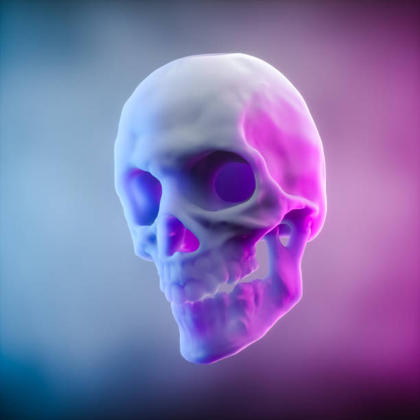 istock 3D illustration. Human skull illuminated by gradient blue and pink lights over an isolated background. 1435353816