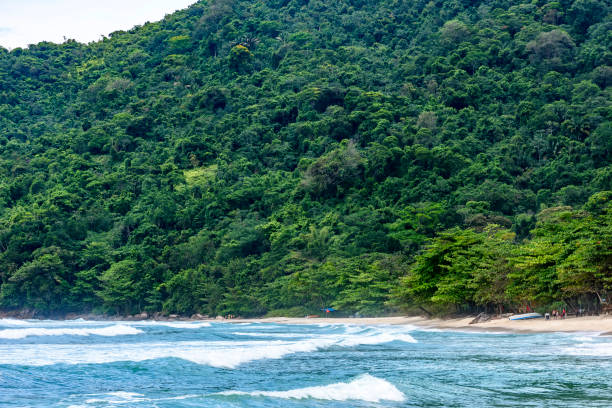 istock Beautiful paradise beach surrounded by rainforest in Trindade 1435354706