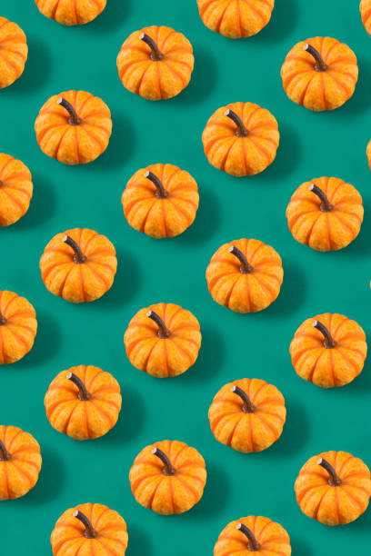 istock Pumpkins on Green Colored Background 1435354915