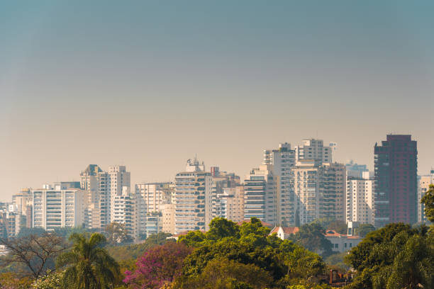 istock Sao Paulo City Skyline 1435356245