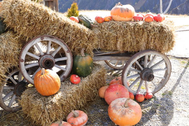 istock a pumpkin decorated on halloween 1435357339
