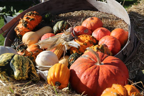 istock a pumpkin decorated on halloween 1435357348