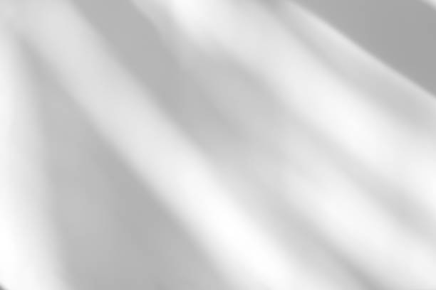 istock Abstract leaves natural shadow overlay on white texture background, for overlay on product presentation, backdrop and mockup 1435357770