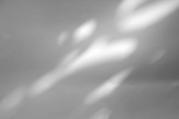 istock Abstract leaves natural shadow overlay on white texture background, for overlay on product presentation, backdrop and mockup 1435357779