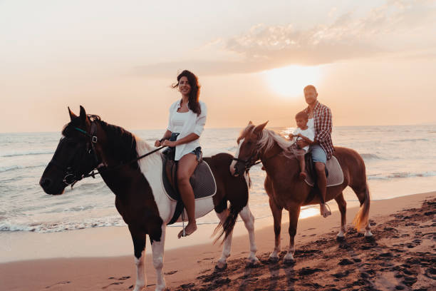 a família passa tempo com seus filhos enquanto cavalgam juntos em uma praia de areia. foco seletivo - silhouette three people beach horizon - fotografias e filmes do acervo