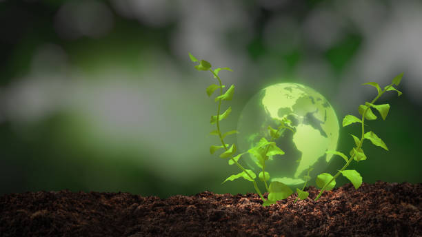 istock Eco friendly power source, the earth and green branch with leaves 1435361806