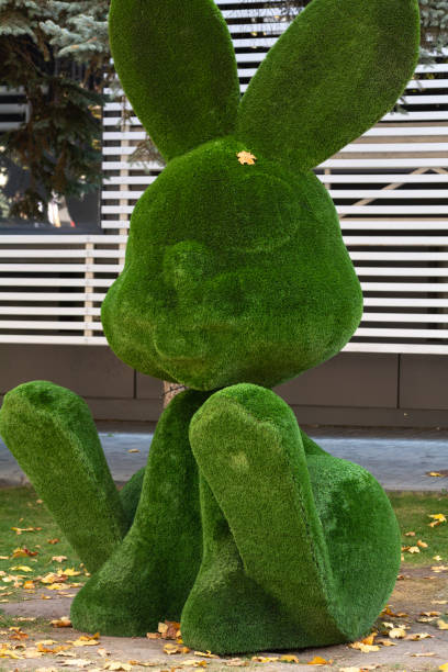 istock Hare topiary. Topiary sculpture of a hare rabbit made of artificial grass 1435362529