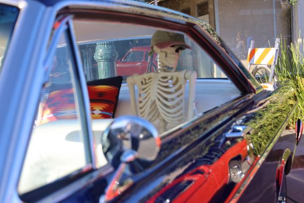 skeleton with hat on in the back seat of a car