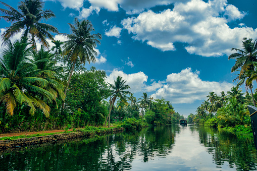 Houseboat navigating on the Kerala Backwaters in South India.