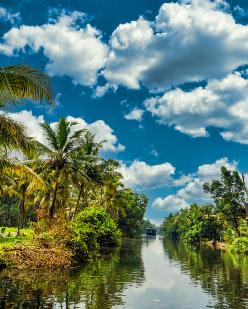 Houseboat navigating on the Kerala Backwaters in South India.