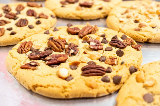 A group of several large sized chocolate pecan cookies.