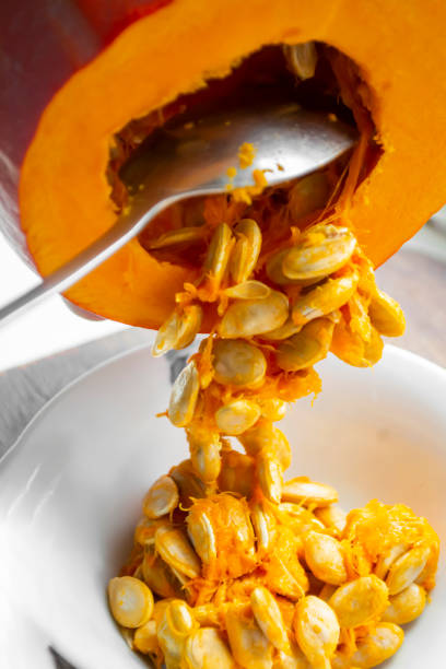 A person cleans a pumpkin from seeds. Pumpkin peeling. Cooking pumpkin. Pull the seeds from the pumpkin with a metal spoon into a plate.