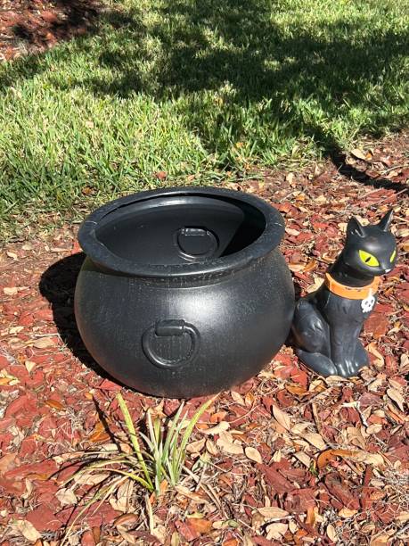 Cauldron and Black Cat stock photo