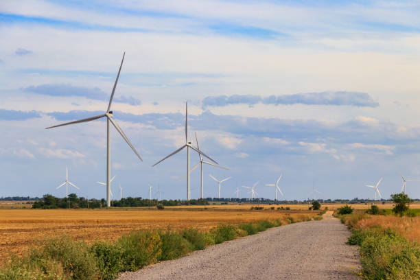 istock Wind turbines in a field. Renewable energy 1435381594