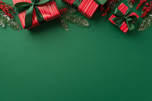 New Year concept. Top view photo of red gift boxes with green ribbon bows mistletoe berries and spruce branches in hoarfrost on isolated green background with copyspace