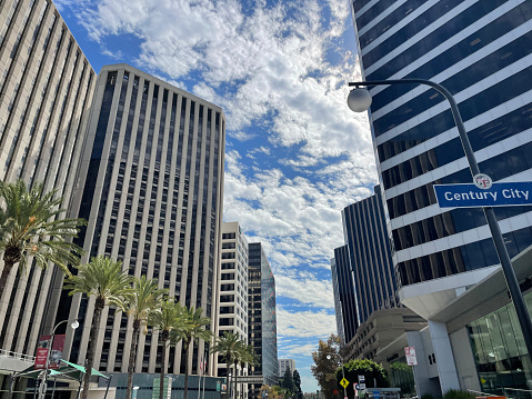 Buildings and palm tree of downtown against blue sky