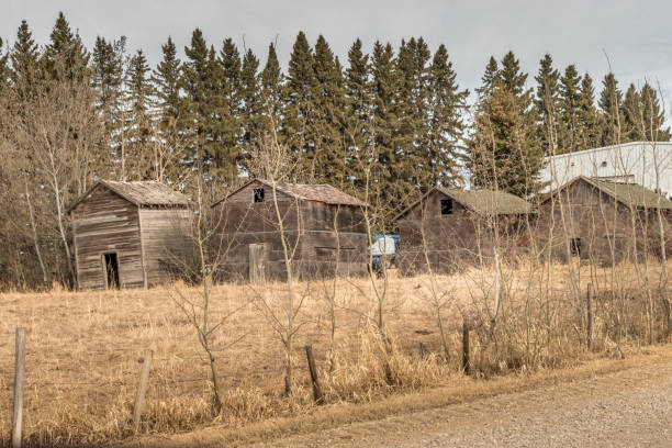 istock Fields marshes rustic out buildings Red Deer County Alberta Canada 1435383258
