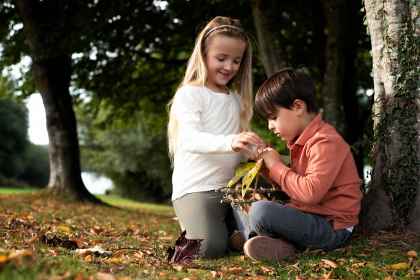 children making a raft at the edge of a pond in autumn - balsa tree imagens e fotografias de stock