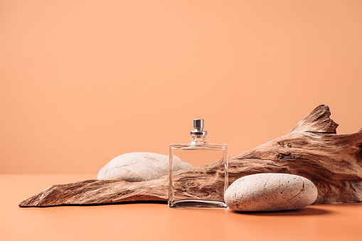 Transparent perfume bottle near the aged weathered wooden snag and stones. Perfume with woody notes concept. Background with copy space.