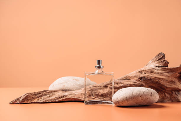 Transparent perfume bottle near the aged weathered wooden snag and stones. Perfume with woody notes concept. Background with copy space. stock photo
