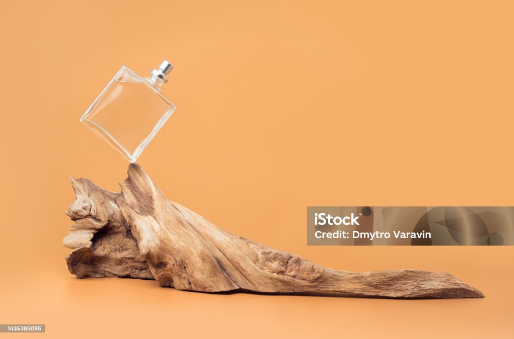 Perfume with woody notes concept with transparent perfume bottle falling on an aged weathered wooden snag. Perfume Stock Photo