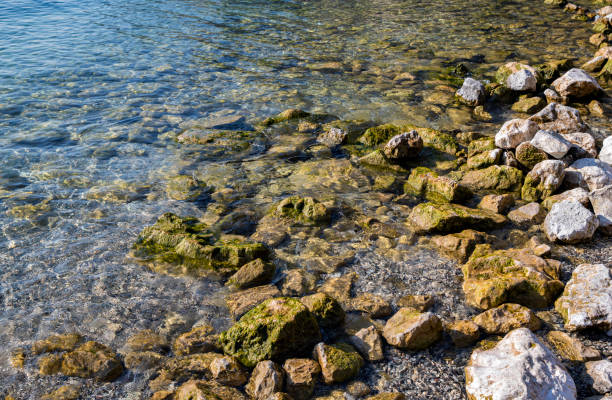 background texture stones in the lake water