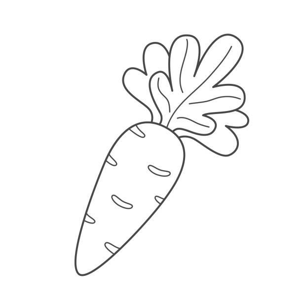 carrot coloring page