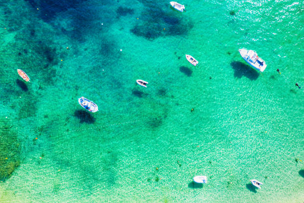 istock Tropical Mediterranean sea 1435386147
