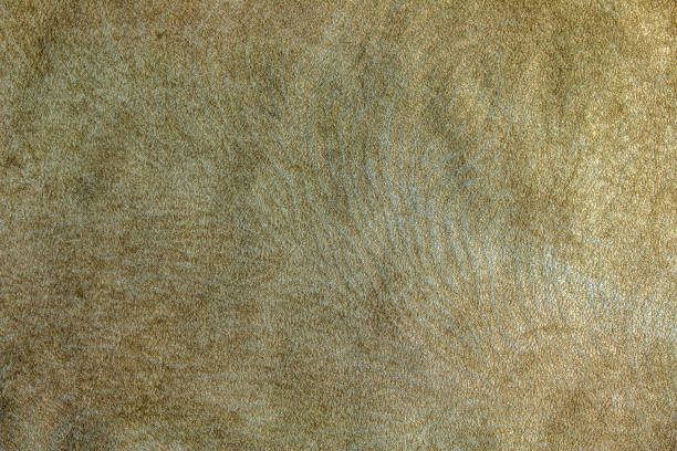 istock Leather background. Beige texture of leather, brown suede. 1435388283
