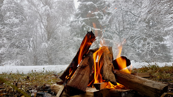 Campfire burning in the cold winter with snow-covered trees in the background.