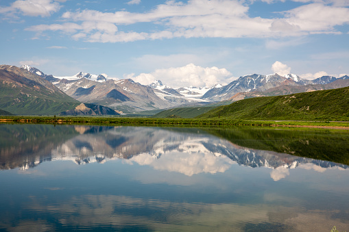 Beautiful scenery with marshland, pine trees and mountain range  in Yukon in late summer.