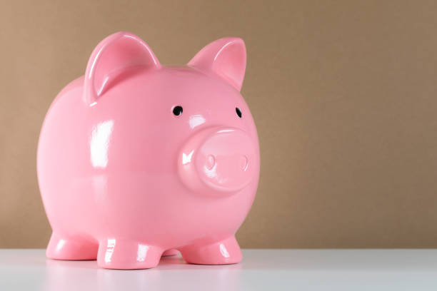 istock Piggy Bank 1435393597