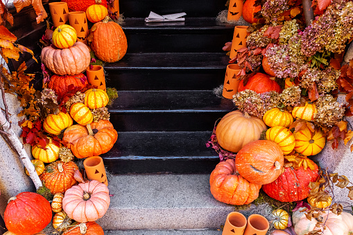 Close-up of the steps of a building's stoop lined with pumpkins, gourds, and plants celebrating Autumn. A rolled newspaper is on the top step.
