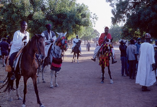 West Africa, North Cameroon, 1968. Fulani (Fulbe) horsemen in North Cameroon.