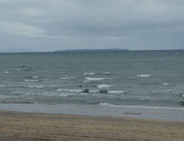istock Windy day at Takapuna Beach 1435398540