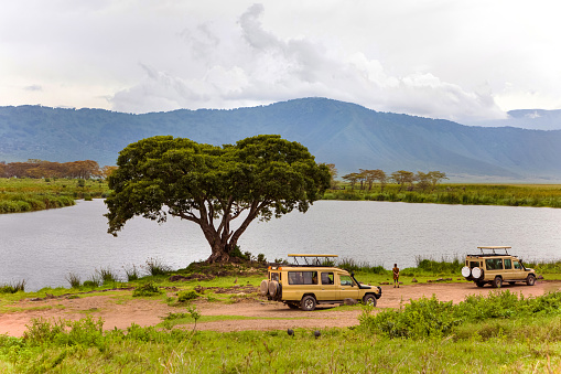 wild african animals in national park Ngorongoro