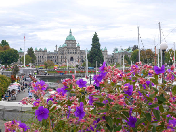 istock Legislative Assembly of British Columbia and Flowers 1435400081