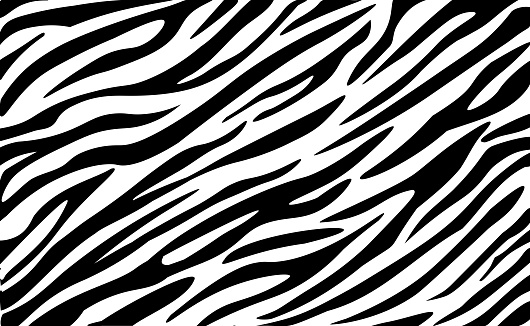 istock Zebra skin pattern vector background. Animal striped fur texture for fabric design, wrapping paper, textile and wallpaper 1435401068