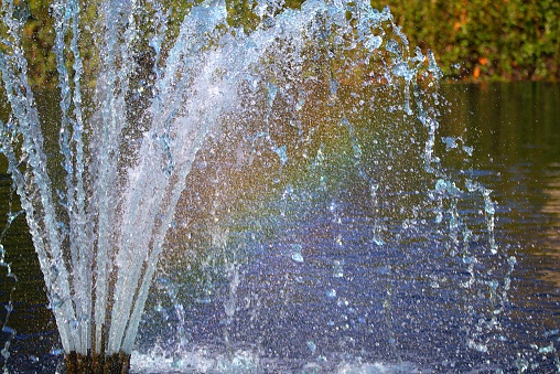 Close up Photograph of a mini water fountain surrounded with green plants