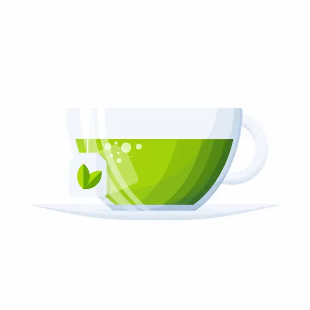 Vector illustration of Green tea in glass cup isolated on white background