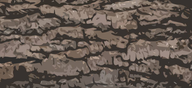 나무 껍질의 질감을 닮은 추상 갈색 배경. 벡터 그림입니다. - bark backgrounds textured wood grain stock illustrations
