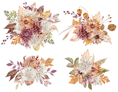 Watercolor collection of fall floral bouquets. Crimson, white and orange asters and chrysanthemums and autumn leaves isolated on the white background.