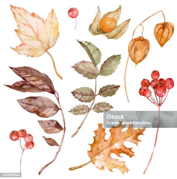 Pinnwand-Dekorationsset Herbstblätter & Lernen – 56 Teile, Bunt, Für Klassenzimmer & Kinderzimmer