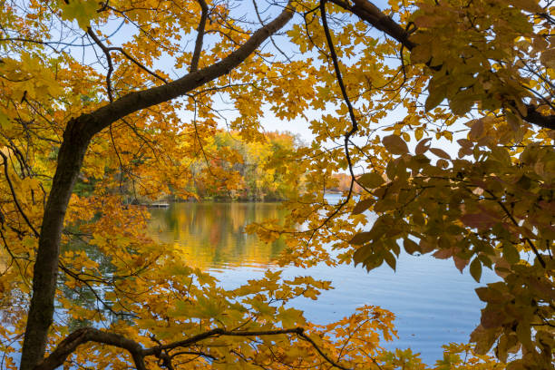 istock Autumn in Mont-Saint-Bruno National Park 1435411616