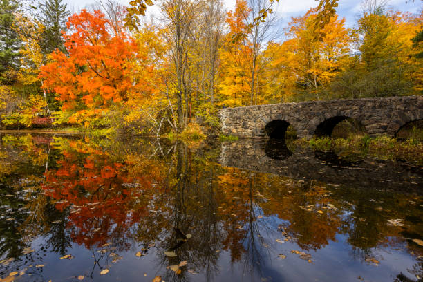 istock Autumn in Mont-Saint-Bruno National Park 1435411644