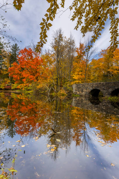 istock Autumn in Mont-Saint-Bruno National Park 1435411647