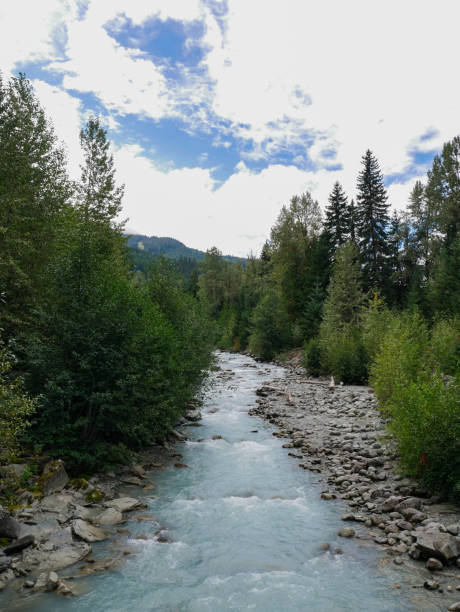 istock Valley Trail at Whister (British Columbia) 1435431165