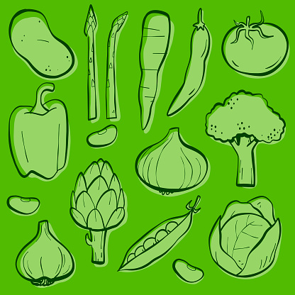 Cartoon style sketches of various vegetables, outlined in dark green with lighter green shapes on separate layers.