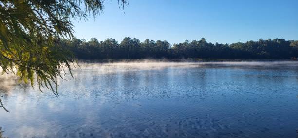 istock Morning mist on tranquil lake 1435431423