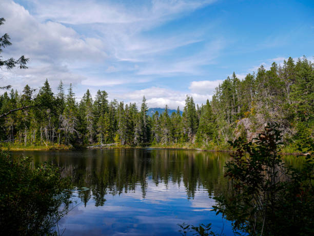 istock Brandywine Falls Provincial Park on a Trail 1435435660